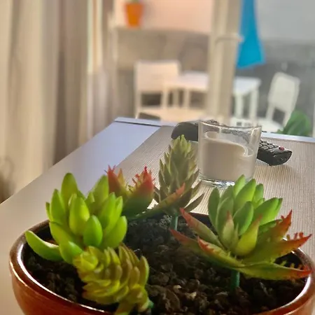 Apartment Loft La Isla *