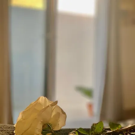 Loft La Isla プラヤ・ブランカ