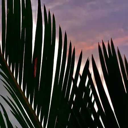 Loft La Isla Appartement Playa Blanca (Lanzarote)