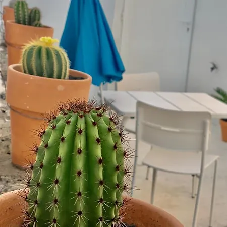 Apartman Loft La Isla Playa Blanca (Lanzarote)