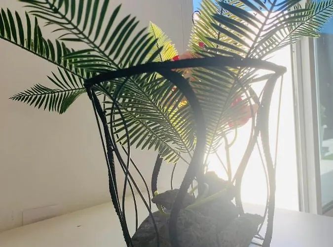 Apartamento Loft La Isla Playa Blanca (Lanzarote)